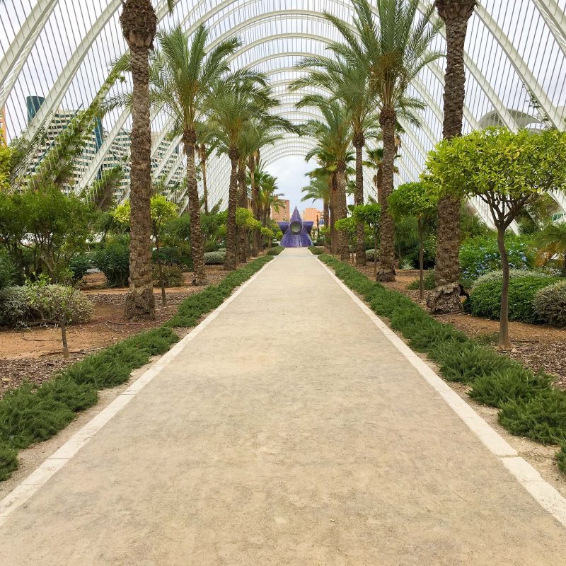The indooor garden walkway leading to the entrance of the City of Arts and Sciences in Valencia, Spain.