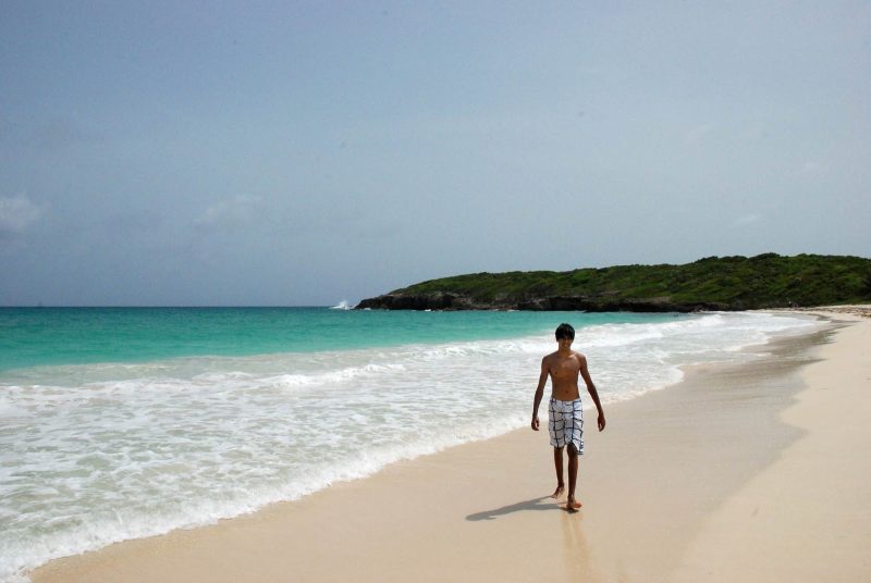 Walking an isolated beach on Vieques Island in Puerto Rico.