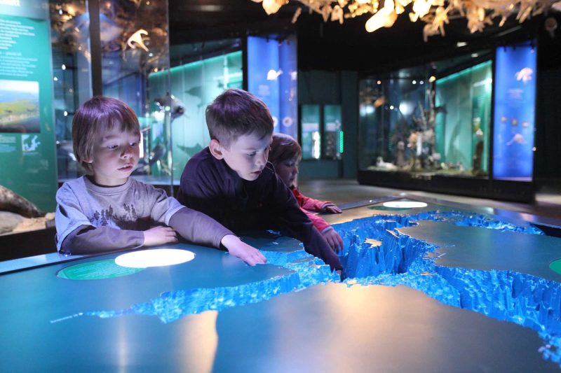 Ocean exhibits at Meeres Museum in Straslund, Germany.