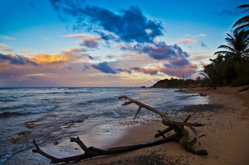 A pretty beach at sunset on Vieques Island in Puerto Rico.