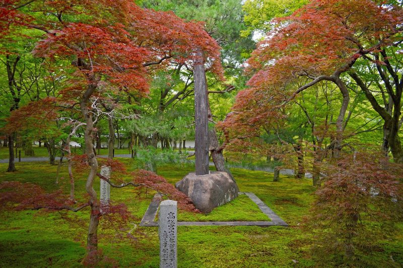 A typical Japanese style strolling garden.