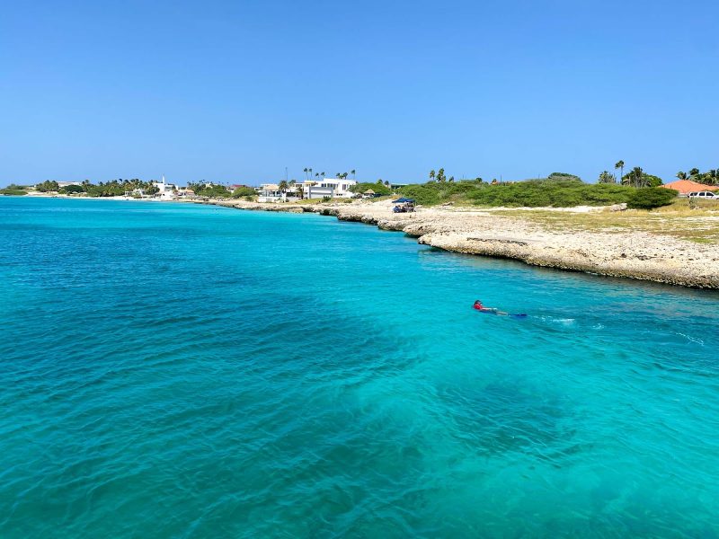 Snorkeling along the coastline of Aruba.
