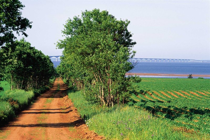 A field with a view of the 8-mile-long Confederation Bridge, linking Prince Edward Island with mainland New Brunswick, Canada.