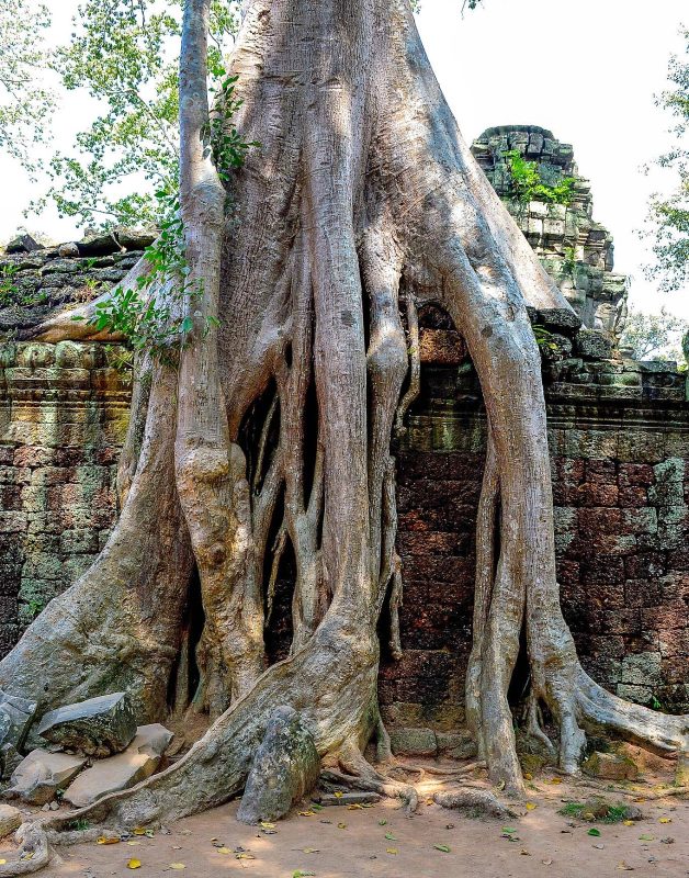 A visit to magnificent Cambodia (photo gallery)