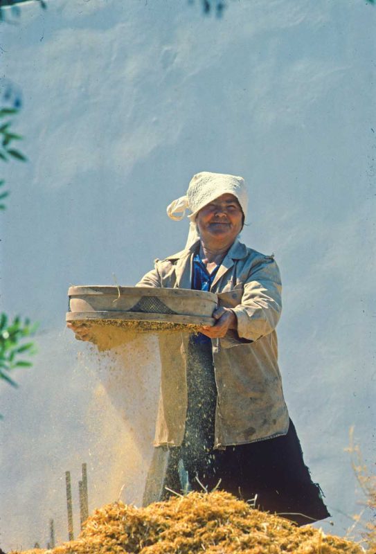 See local residents of Chios, the fifth largest Greek island, during a Lindblad Expeditions tour.
