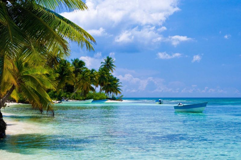 Cuba beach with palm trees.