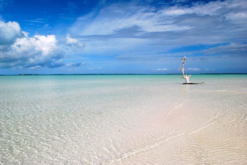 Head to Harbour Island in the Bahamas for long stretches of pristine beaches and turquoise waters. 