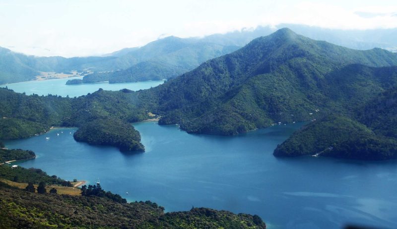 Visit the islands and inlets of Marlborough Sound on a Ponant luxury cruise.