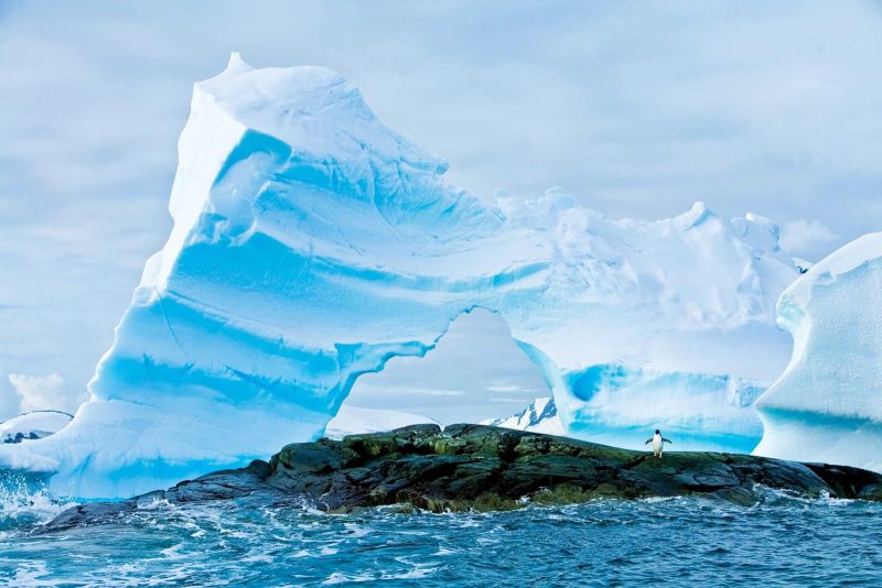 A lone Adelie penguin shows off the size of a massive iceberg during a Lindblad expedition to Antarctica.