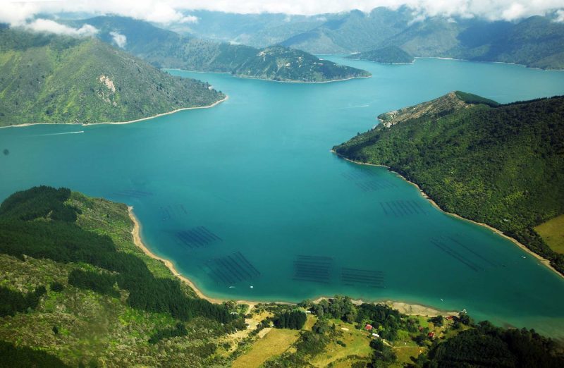 Cruise the inlets of Marlborough Sound, New Zealand, on a Ponant sailing.