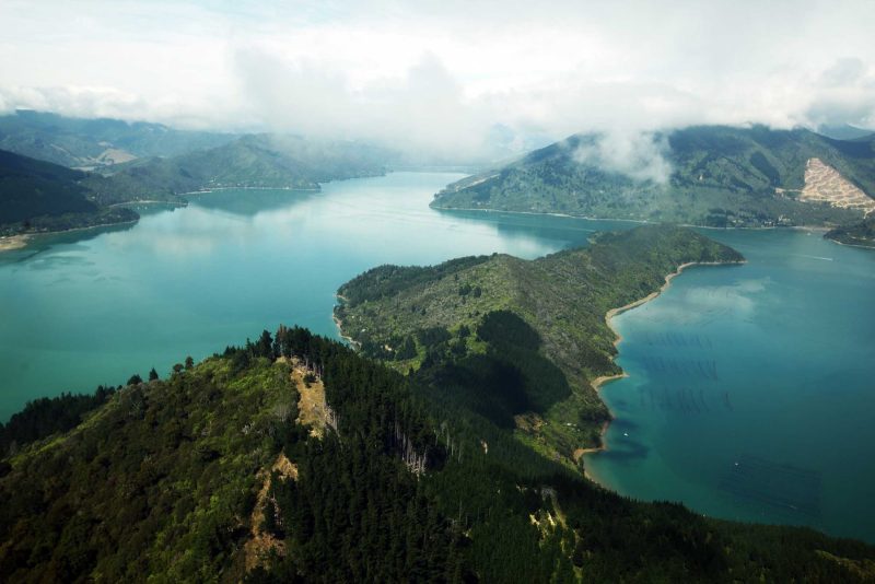 Cruise the inlets of Marlborough Sound, New Zealand, on a Ponant sailing.