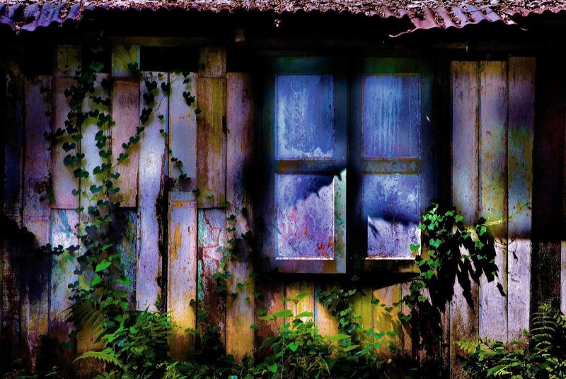 Rustic remains of s building being overtaken by nature in Singapore's garden city.