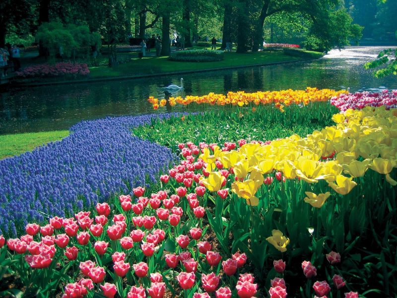 Keukenhof Lake and Gardens in Lisse, the Netherlands.