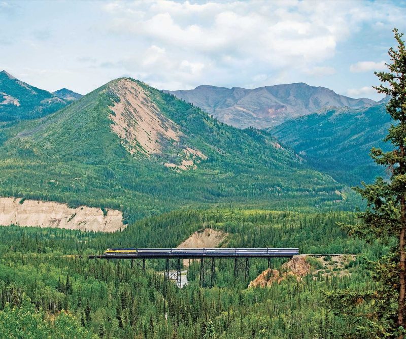 Ride the Alaska Railroad through the vast, rolling Denali National Park en route to your Inland Passage itinerary on your Princess expedition.