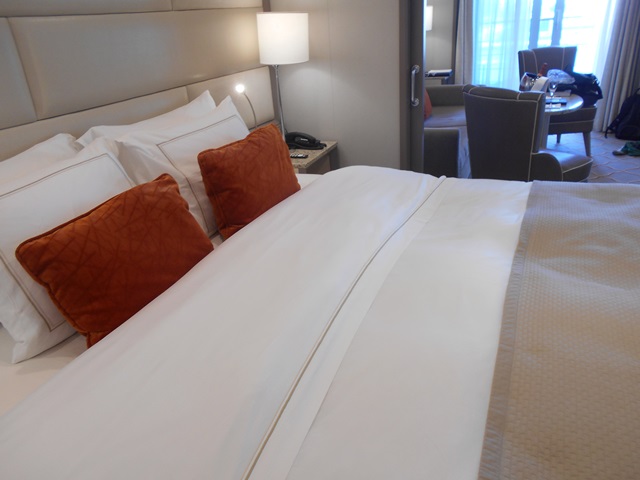 Our Silver Suite bed