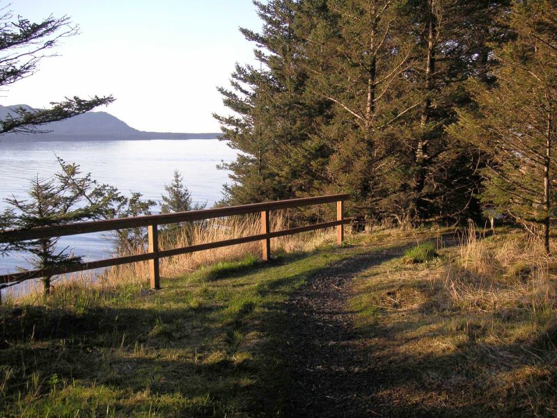 Dusk starts to fall on a hiking trail at 9 pm on Kodiak Island, Alaska.