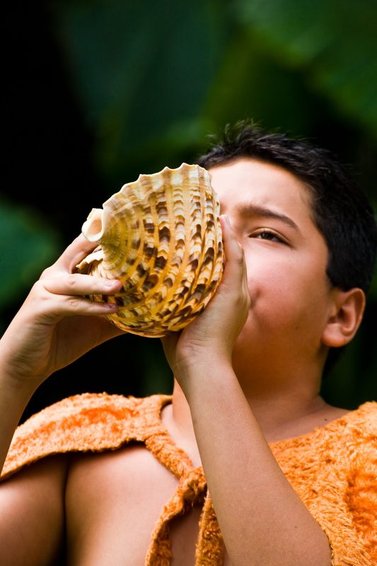 A young man sounds the pu, which traditionally announces the arrival of the royal court in Hawaii.
