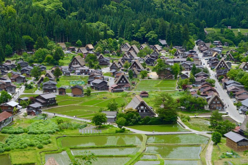 Japan: Gardens, temples & a rich culture