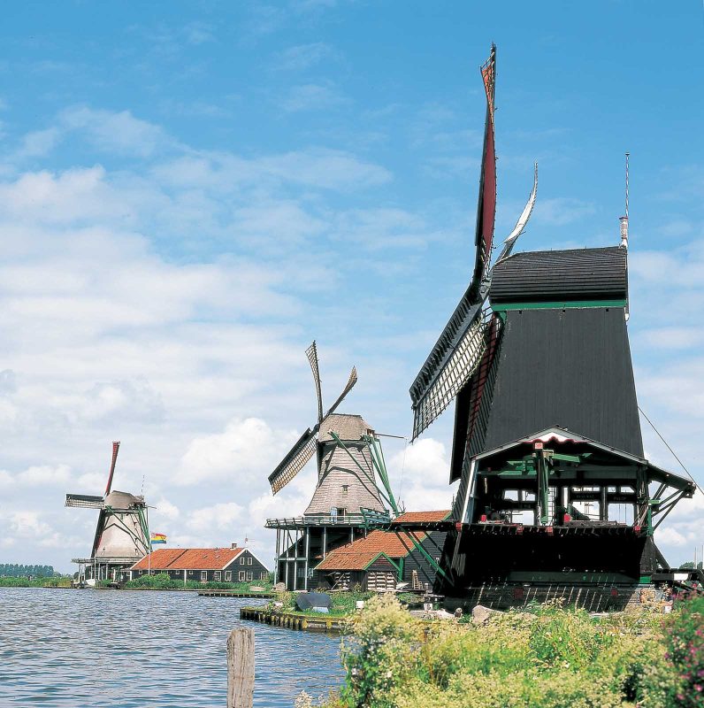 Windmills line the landscape at Zaanse Schans, a popular attraction for visitors near Amsterdam.
