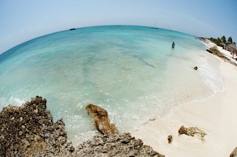 A beach in Aruba in all its fish-eye-lens glory.