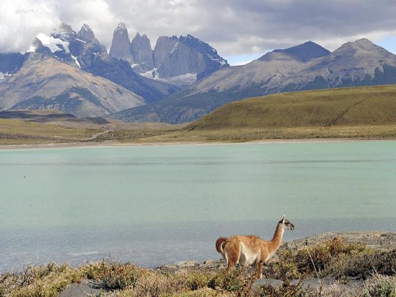 Chile is one of the most intriguing destinations in South America for cruise visitors.