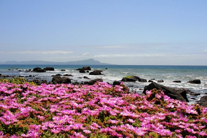 4 Night Ensenada Getaway aboard Navigator of the Seas