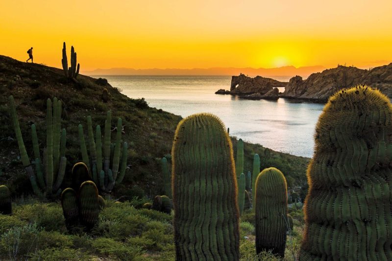 Go on a hike and get incredible views of Loreto Bay National Park's landscape and giant barrel cactuses during a Lindblad Expeditions tour.