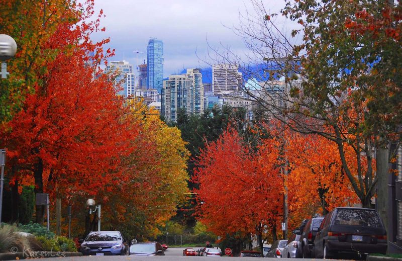 A view of the Vancouver skyline in the autumn.