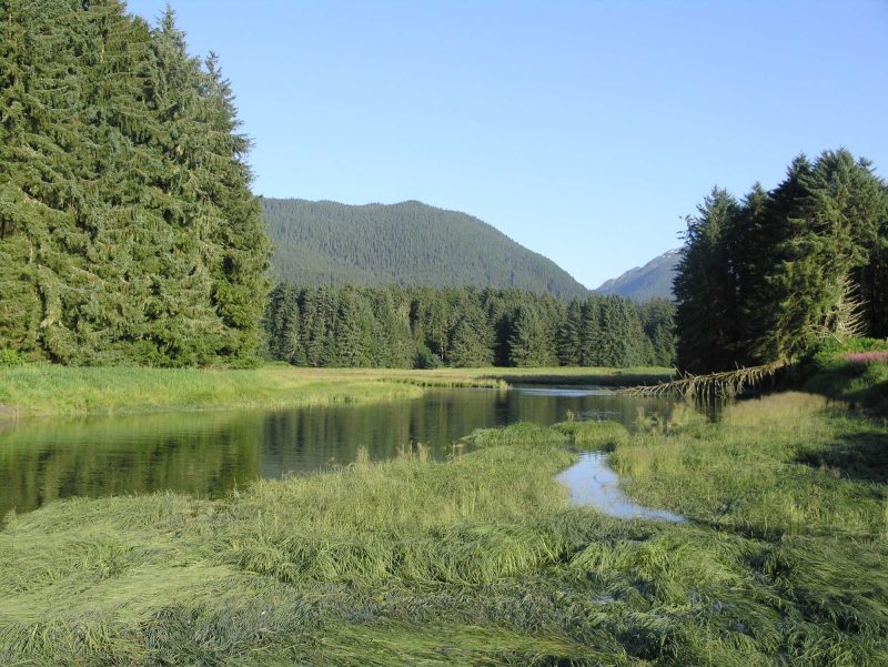 Green's Creek on Admiralty Island, Alaska.
