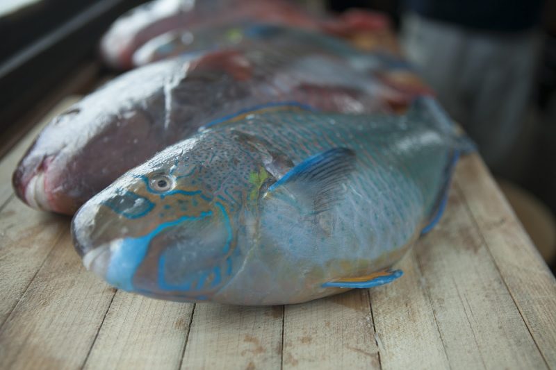 Fresh fish caught in Heeia on the island of Oahu.