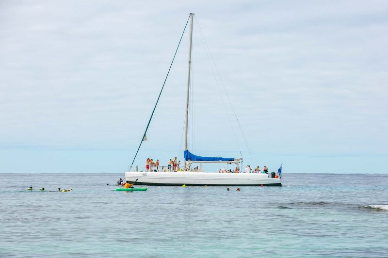 A catamaran alights in the waters off Roatan Island, Honduras.