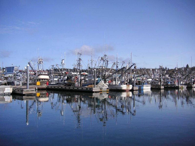 The harbor in Kodiak, Alaska.