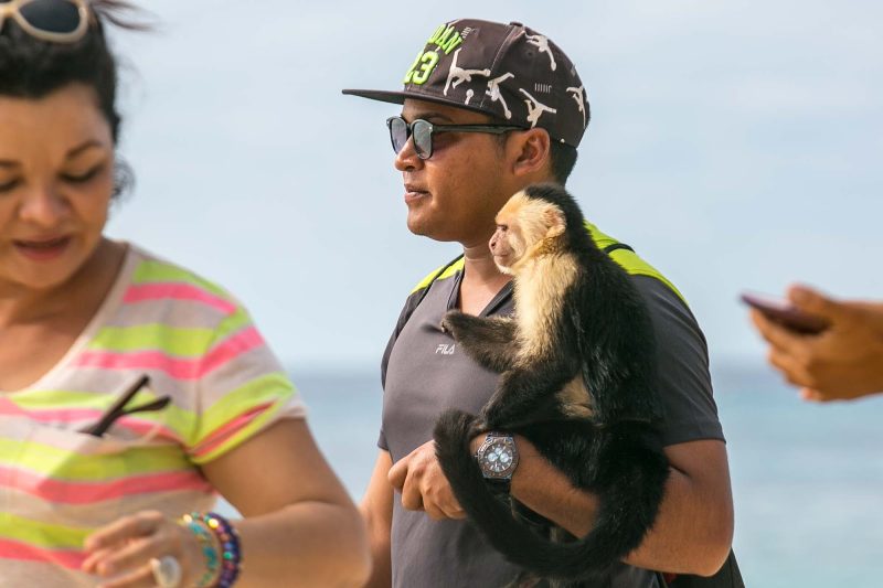 A capuchin monkey and its owner walk the beach on Roatan Island, Honduras.