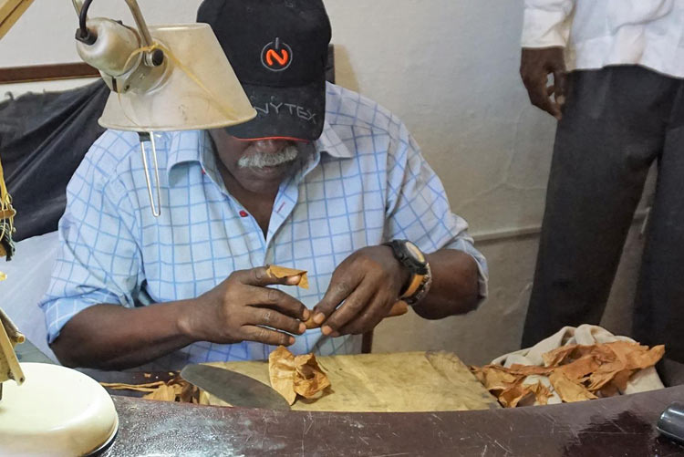 A Cuban man rolls a Cuban cigar