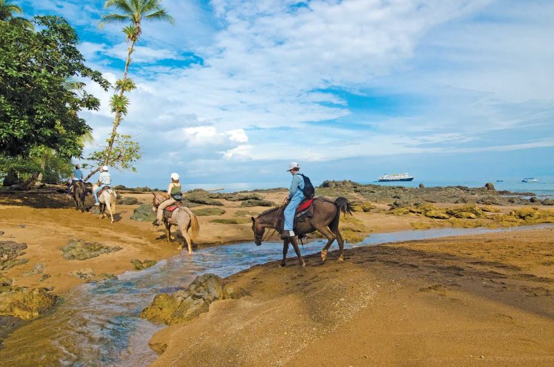 Go horseback riding through the beautiful lands of Playa Caletas, Costa Rica, during a Lindblad Expeditions visit.