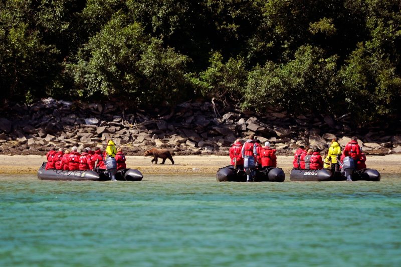 Ponant can drop anchor in small bays, such as Katmai National Park and Preserve in Alaska, to give you a closeup view of wildlife.