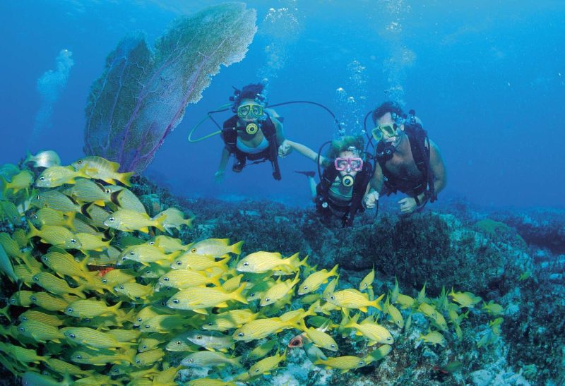 Go on an unforgettable scuba diving experience while visiting Nassau/Paradise Island.