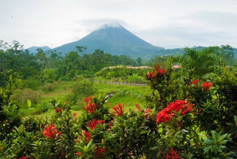 Get an incredible view of the Arenal Volcano, an active volcano in northwestern Costa Rica, during a Lindblad Expeditions tour.