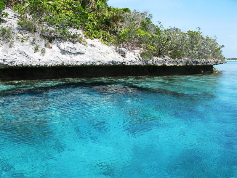 Go swimming in the clear waters along the Bahamas shoreline.