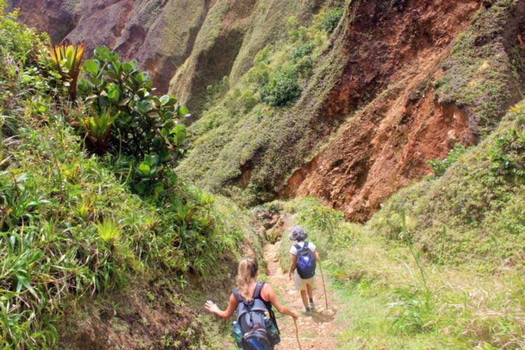 The beginning of the trail to Boiling Lake in the pretty Caribbean island nation of Dominica.