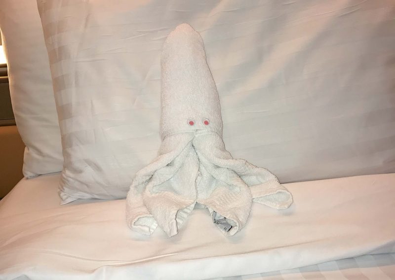 A squid towel left for guests during turndown service on ms Oosterdam.