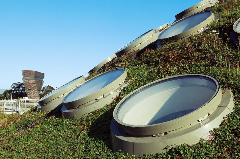 The Living Roof at the California Academy of Sciences in Golden Gate Park in San Francisco