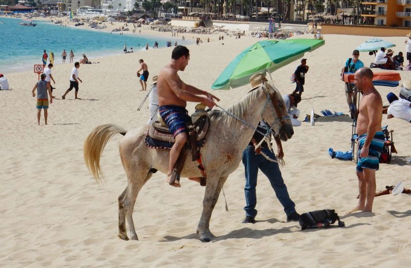 An hourlong ride on a steed along the beach can be had for about $25 in Cabo San Lucas, Mexico. 