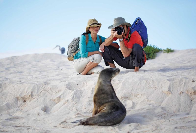 Marine life in the Galapagos have no fear of humans, giving photographers the chance to capture great close-ups. 