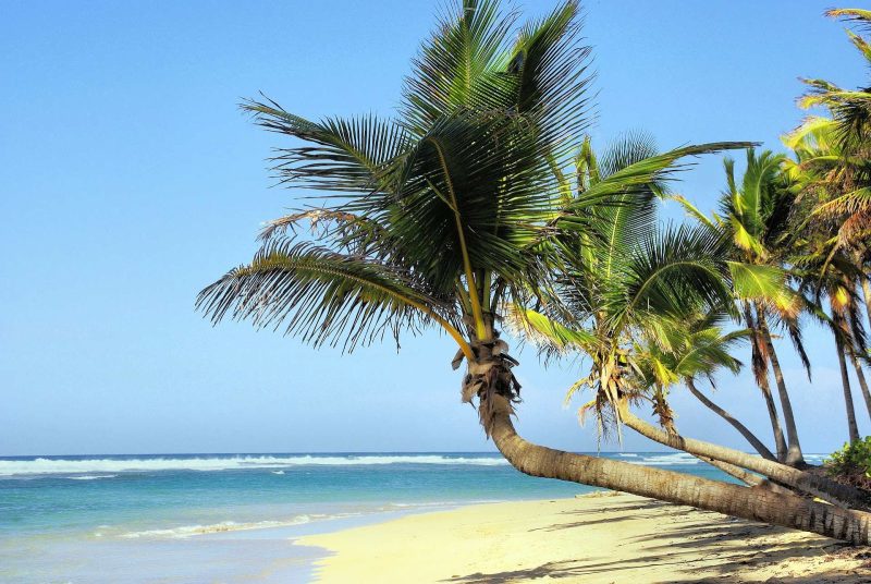A long stretch of empty beach in Cuba.