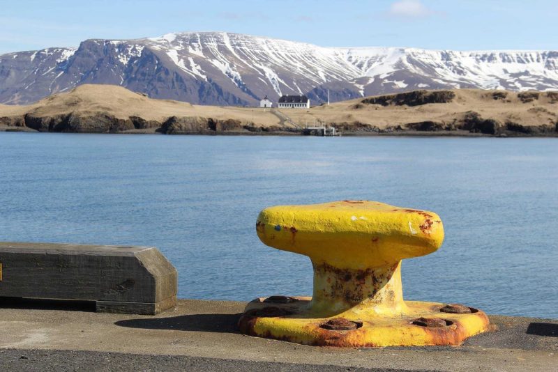 Enjoy a short trip with the Elding ferry service from Reykjavik to the lovely island of Videy,