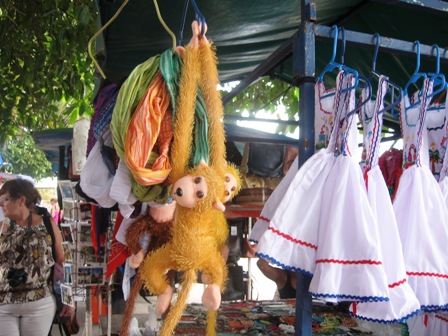 A monkey in Puntarenis off Oceania Mariner