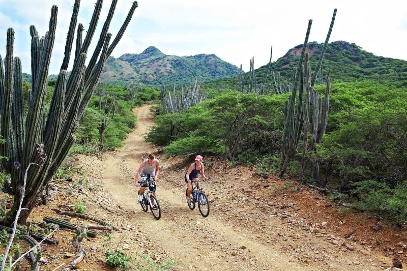 Active travelers can opt to explore Bonaire's terrain on mountain bikes.
