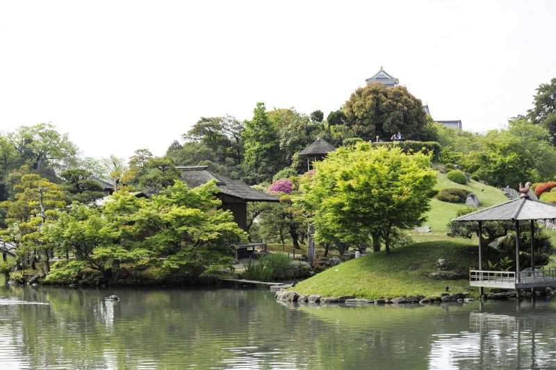 Stroll Korakuen, one of the three great gardens of Japan, in Okayama during a Ponant cruise.