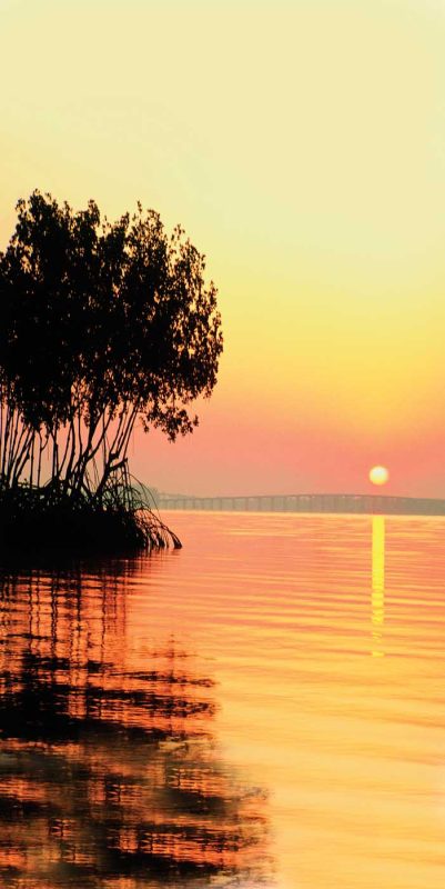 Take in scenic sunsets over serene beaches in Fort Myers, Fla., during a vacation with American Cruise Lines. 